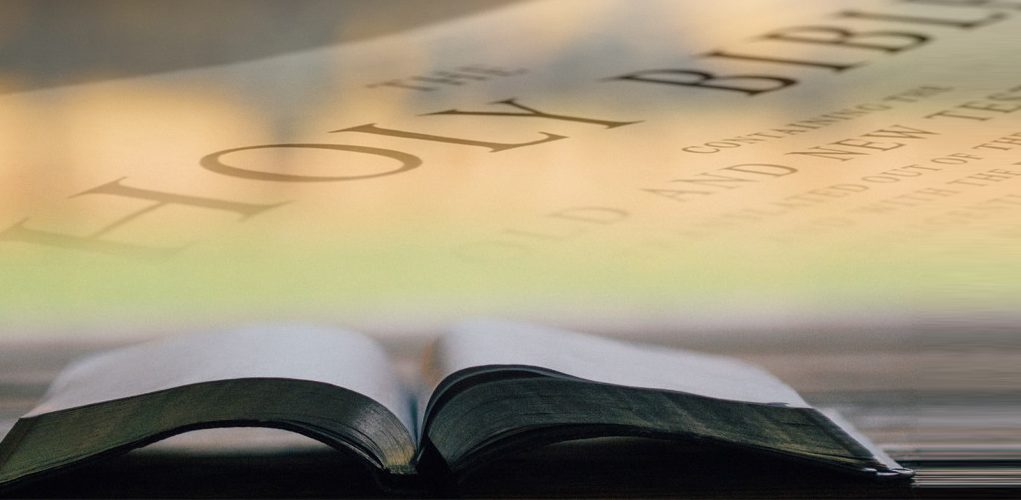 A Reprogramming Through The Word