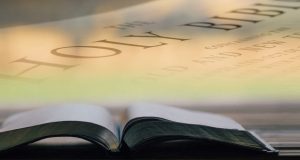 A Reprogramming Through The Word