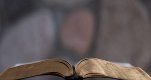 The Transforming Power Of The Word