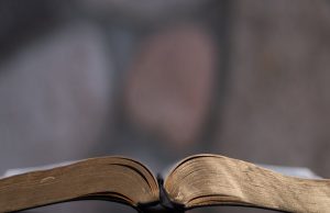 THE WORD GIVES LIGHT