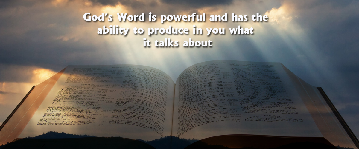 Work The Word! | Christ Embassy
