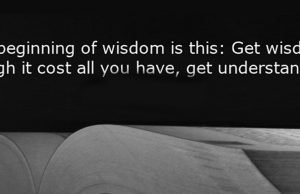 Wisdom Is Your Capital