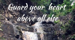 Safeguard The Word In Your Heart
