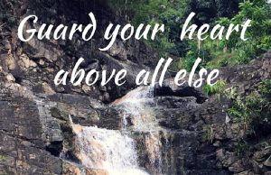 Safeguard The Word In Your Heart