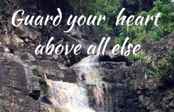 Safeguard The Word In Your Heart