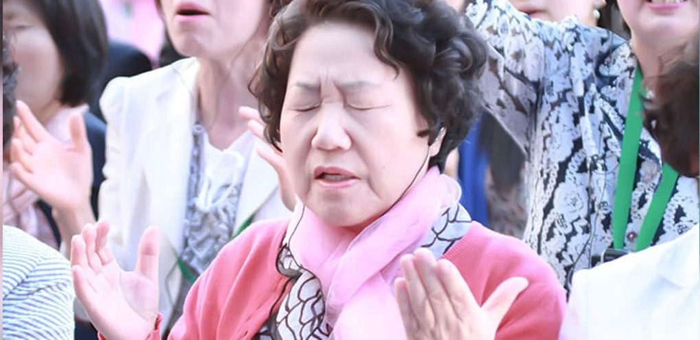 I Am A Bundle Of Success