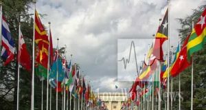 TCIF Speaks On Universal Health Coverage At UN General Assembly