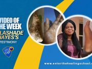 Alive By The Power Of God