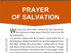 Now That You Are Born Again